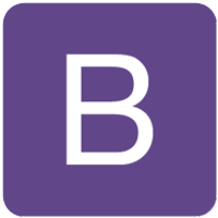 icon img